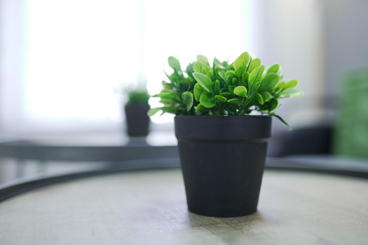 יחידת נופש עמית Apartment Eilat Ngoại thất bức ảnh